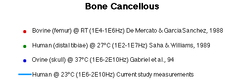 Bone Cancellous Literature Legend