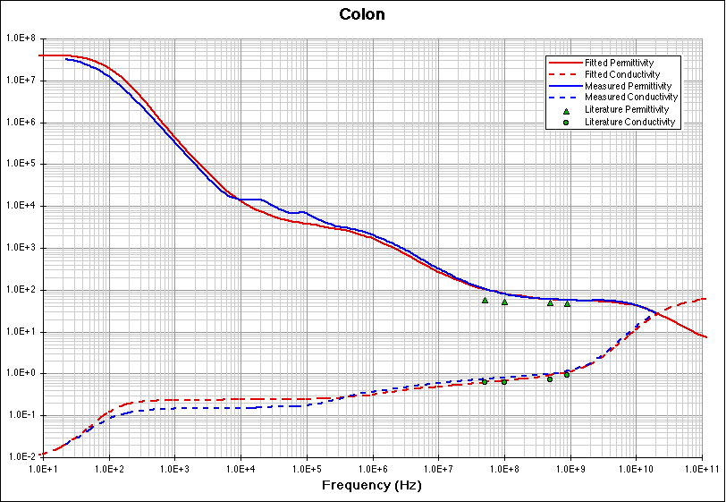 Colon fitting model